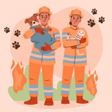 Katt och hund vid brand